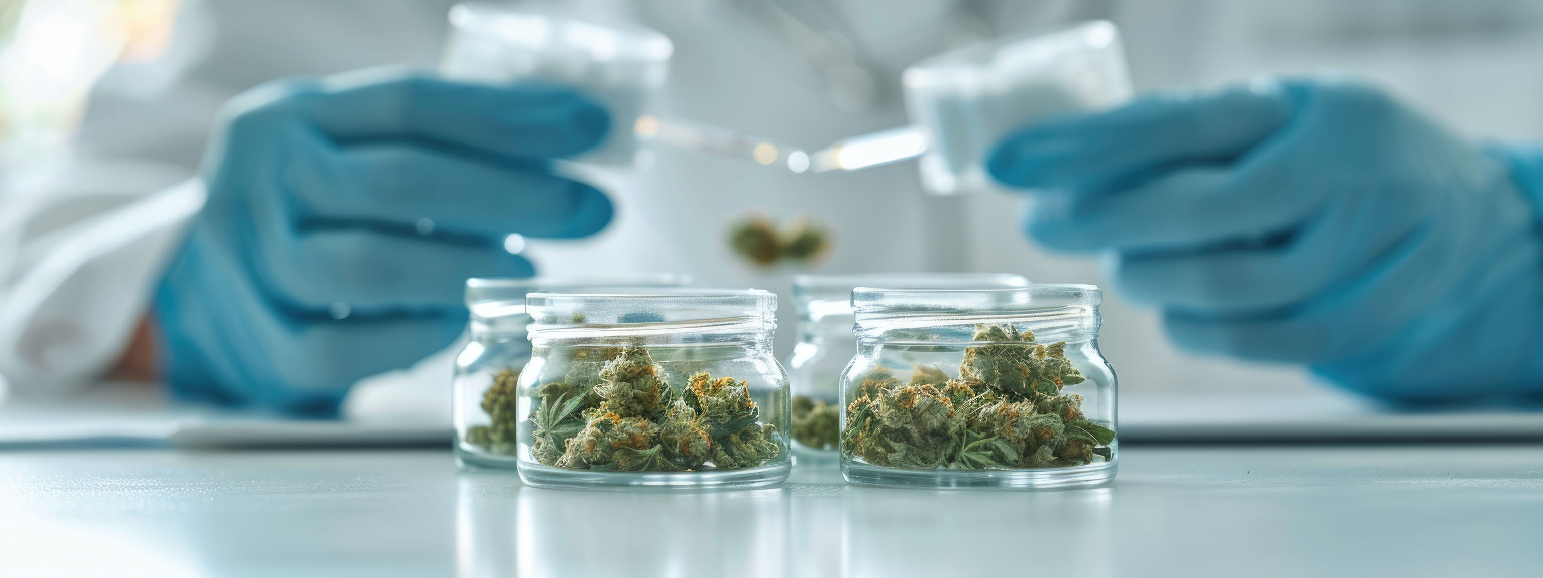 Cannabis Hub – Ankauf und Umschlag von Medizinalcannabis